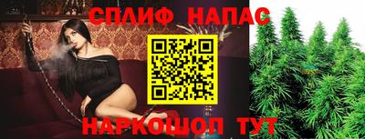ECSTASY Камышлов