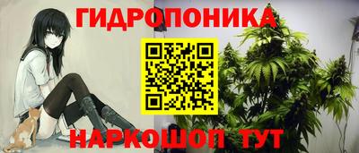 МДПВ Канаш