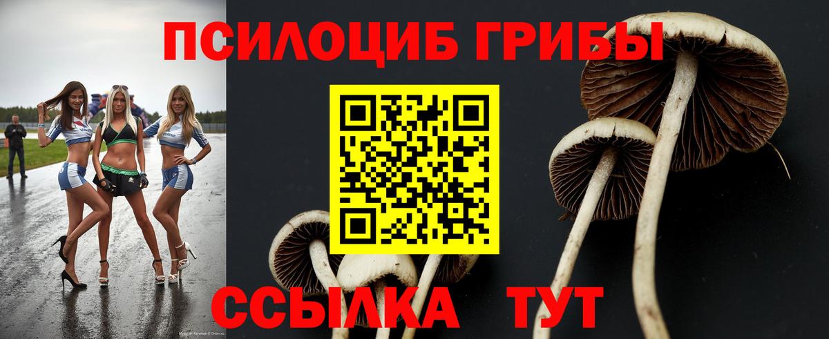 Галлюциногенные грибы мицелий Красноуфимск